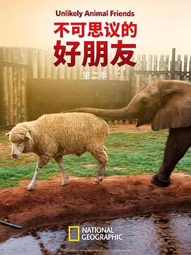 不可思议的好朋友第二季(全集)